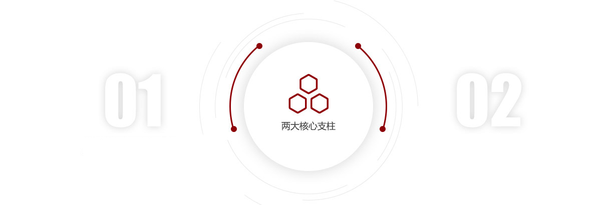 兩大核心支柱