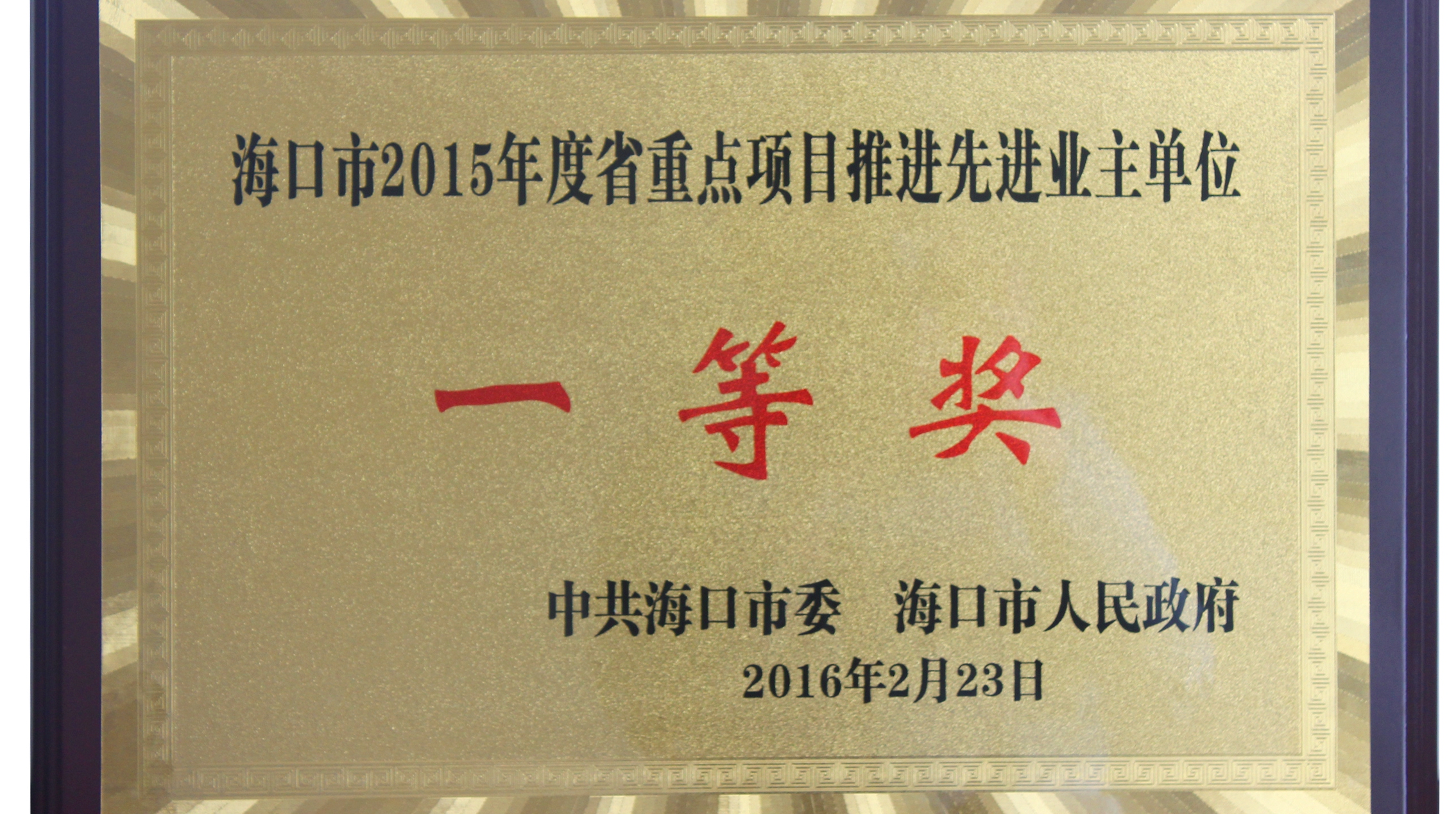 省重點(diǎn)項(xiàng)目推進(jìn)先進(jìn)業(yè)主單位